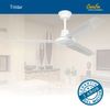 Ventilador De Techo Casafan 312005 Tristar Ii 120 We Blanco