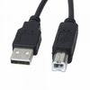 Actecom Cable Usb De Impresora, Escaner, Disco Duro, Usb Tipo B De 25 Cm V311