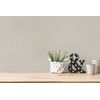 Livingwalls Papel Pintado Liso Beige - 53 Cm X 10,05 M - As-306886