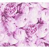 Papel Pintado A.s. Création Flores Rosa - As-373982 - 53 Cm X 10,05 M