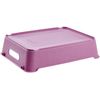 Caja De Almacenaje Plástico Keeeper Lotta 28 X 21 X 6,5 Cm Frambuesa