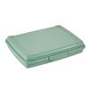 Caja De Almacenamiento Lisa 17 X 13 X 3,5, Verde Nórdico