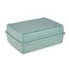 Caja De Almacenamiento Plástico Keeeper 17 X 13 X 6,5, Verde Nórdico