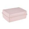 Caja De Almacenamiento Plástico Keeeper 17 X 13 X 6,5, Rosa Nórdico