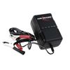 Cargador De Coche Ansmann Para Baterías De Plomo De Coche Moto Scooter Eléctricas 2v-24v, 2v,6v,12v,24v