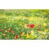 Sanders & Sanders Fotomural Flores Verde - 450 X 280 Cm - 612676