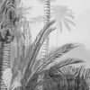 Mural Fotográfico Lac Tropical Black & White 200x270 Cm Komar