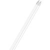 Bombilla Tubo Led Tubo Star Glass T8 60cm - 7.3 W - Blanco Frío Osram