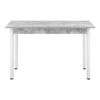 Mesa De Comedor Den Haag - 120 X 60 X 75 Cm - Mesa De Cocina O Salón - Para 4 Sillas - Escritorio - Resistente - Mesa Para Oficina - Efecto Hormigón Y Blanco [en.casa]®