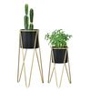 Soporte Para Plantas De Metal - 2 Piezas - 48 X 25 X 25 Cm Y 70,5 X 32 X 32 Cm - Estantería Para Macetas - Bastidor Para Macetas - Dorado Y Negro [en.casa]®