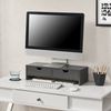 Soporte Para Monitor Mänttä Con 2 Cajones Aglomerado 50 X 18 X 13 Cm Gris Oscuro [en.casa]