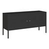 Mueble De Salón Pyhtää Con 2 Puertas Acero 118x40x60 Cm - Negro Mate [en.casa]