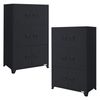 2x Archivadores De Oficina 75x40x120,5cm Acero Antracita Ml-design