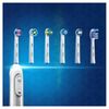 Cabezal Oral-b Eb203+1