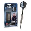 Dardostarget Steel Tip Power Silverlight Phil Taylor 22g  200250