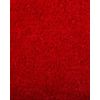 Alfombra De Pelo Largo Roja 80 X 150 Cm Moderna Demre - Rojo