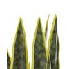 Planta Artificial En Maceta De Material Sintético Verde Negro 63 Cm Accesorio Interior Snake Plant - Verde