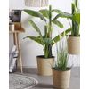 Planta Artificial Caña En Maceta Material Sintético Verde Y Negro 87 Cm Decoración De Hierba Para Interior Reed Plant - Verde