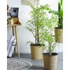 Planta Artificial Bambú En Maceta De Material Sintético Verde Y Negro Accesorio Decorativo De Interior 100 Cm Bambusa Vulgaris - Verde