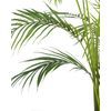 Planta Artificial En Maceta De Material Sintético Verde Negro 124 Cm Palmera Accesorio Interior Areca Palm - Verde