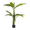 Planta Artificial En Maceta Verde Y Negro Material Sintético 154 Cm Accesorio Decorativo Para Interior Banana Tree - Verde