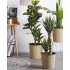 Planta Artificial En Maceta Negro Y Verde Material Sintético 134 Cm Accesorio Decorativo De Interior Ficus - Verde