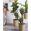 Planta Artificial En Forma De Aloe Vera En Maceta Verde Y Negro Material Sintético 90 Cm Accesorio Decorativo Para Interior Yucca - Verde