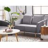 Conjunto De Sofás Tapizados En Terciopelo Gris 5 Plazas Respaldo Acolchado Asiento Metal Patas Doradas Retro Glam Maura - Gris