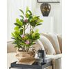 Magnolia Artificial En Maceta Material Sintético Verde Y Rosa 70 Cm Accesorio Decorativo De Interior Magnolia - Verde