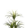 Planta Artificial En Maceta De Material Sintético Verde Y Negro 147 Cm Accesorio Decorativo De Interior Dracaena Anita - Verde