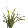 Planta Artificial En Maceta De Material Sintético Verde Y Negro 147 Cm Accesorio Decorativo De Interior Dracaena Anita - Verde