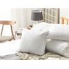 Almohada De Algodón Blanco Plumón Plumas De Pato 50 X 60 Cm Alta Medio Suave Descanso Feldberg - Blanco