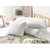 Conjunto De 2 Almohadas De Algodón Blanco Plumón Plumas De Pato 50 X 60 Cm Alta Medio Suave Descanso Feldberg - Blanco