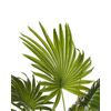 Planta Artificial En Maceta Verde Negro Material Hojas De Plástico 100 Cm Interior Fan Palm - Verde