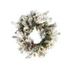 Corona De Navidad Blanco Material Sintético Efecto Nieve Pre Iluminado Decoración Hogar 55 Cm Whitehorn - Verde