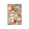 Cuadro Impreso En Lienzo Verde Naranja 63 X 93 Cm Con Motivos De Frutas Naranjas Sala De Estar Dormitorio Gualdo - Verde
