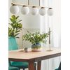 Lámpara De Techo De Metal Dorado Pantallas Vidrio Blanco 62 Cm 5 Luces En Riel Glamour Cocina Comedor Zikuli - Dorado