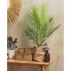 Planta Artificial En Maceta De Material Sintético Verde Negro 83 Cm Palmera Accesorio Interior Areca Palm - Verde