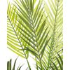 Planta Artificial En Maceta De Material Sintético Verde Negro 83 Cm Palmera Accesorio Interior Areca Palm - Verde