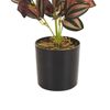 Planta Artificial En Maceta De Material Sintético Verde Rojo Negro 35 Cm Accesorio Interior Tradescantia - Rojo