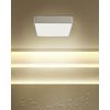 Lámpara De Techo Led De Metal Blanco Pantalla De Acrílico Empotrado Bicol - Blanco