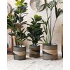 Conjunto De 3 Macetas De Algas Marinas Natural Cestas Para Plantas Interior Boho Rattail - Natural