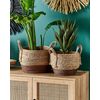 Conjunto De 2 Macetas De Algas Marinas Natural Marrón Plantas Boho Paladju - Natural