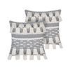 Conjunto De 2 Cojines De Algodón Gris Blanco 45 X 45 Cm Borlas Accesorio Brahea - Gris