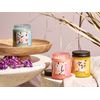 Conjunto De 3 Velas Perfumadas 100% Cera De Soja Mecha De Algodón Vidrio Fragancia Floral Fresca Rosa/caqui/melisa Flor Frutal Fruity Bloom - Rosa