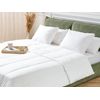 Edredón Cálido Algodón Lyocell Relleno Poliéster Cama Doble 9.0 Tog 200 X 220 Cm Howerla - Blanco