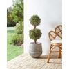 Planta Artificial En Maceta Uso Interior Exterior Decoración De Plástico Tronco De Madera Con Maceta Negra 92 Cm Buxus Ball Tree - Verde