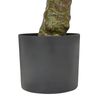 Planta Artificial En Maceta Para Interior Decoración De Plástico 160 Cm Con Maceta Negra Laurel - Verde