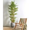 Planta Artificial En Maceta Para Interior Decoración De Plástico 220 Cm Con Maceta Negra Bamboo - Verde