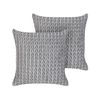 Conjunto De 2 Cojines Acolchados De Poliéster 45 X 45 Cm Gris Eclipta - Gris